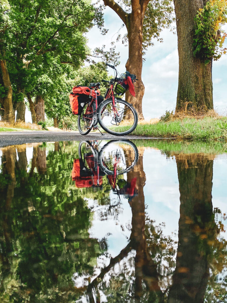 Fahrrad zwischen Bäumen spiegelt sich in einer Pfütze