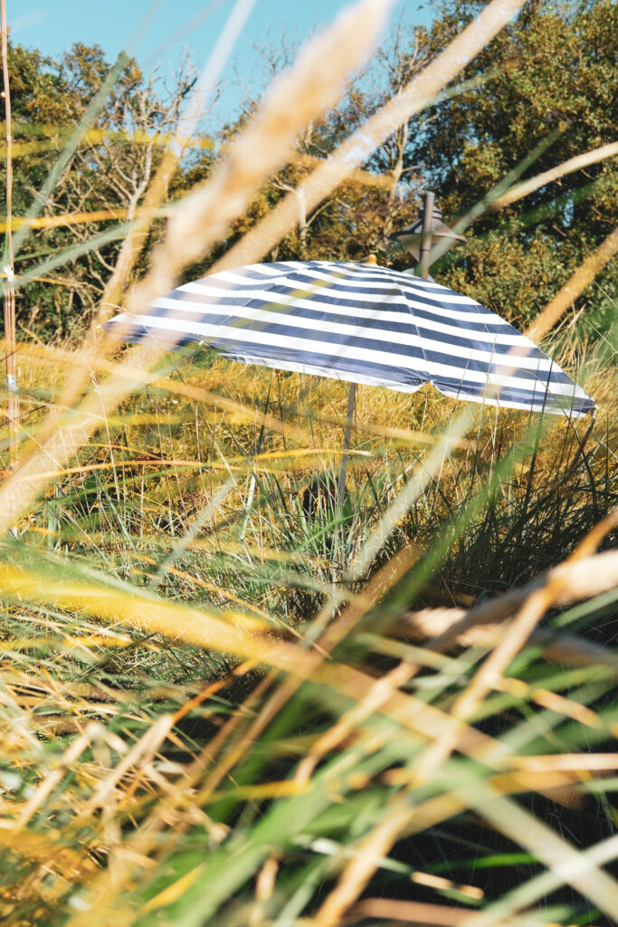 Blau-weißer Sonnenschirm im Dünengras von List auf Sylt