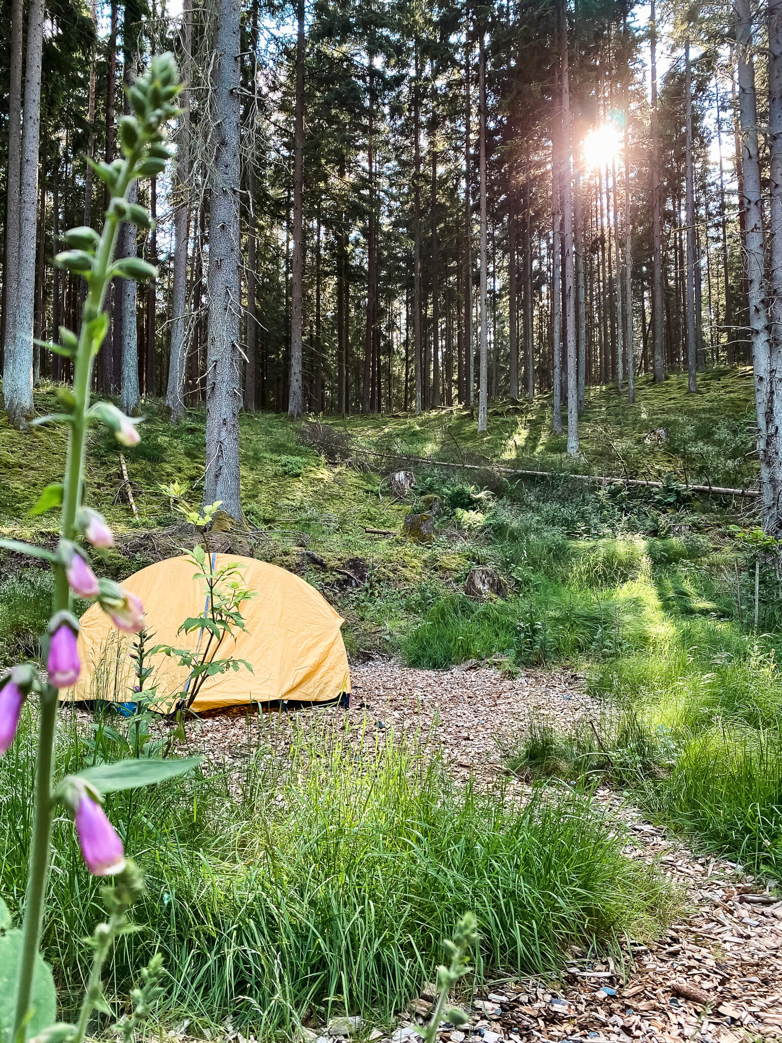 Zeitelfleck Trekkingplatz im Waldnaabtal
