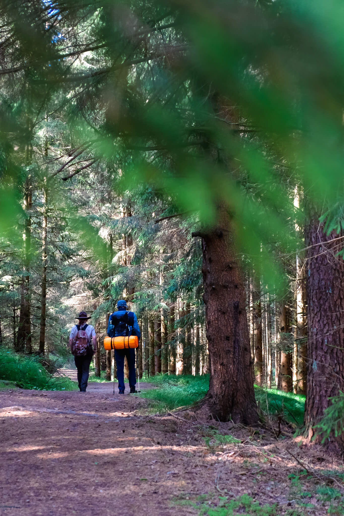Wanderer auf dem Goldsteig von hinten