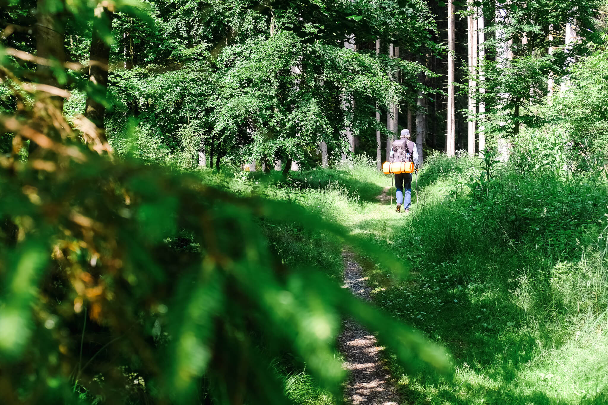 Goldsteig, Etappe 3, Wanderer von hinten