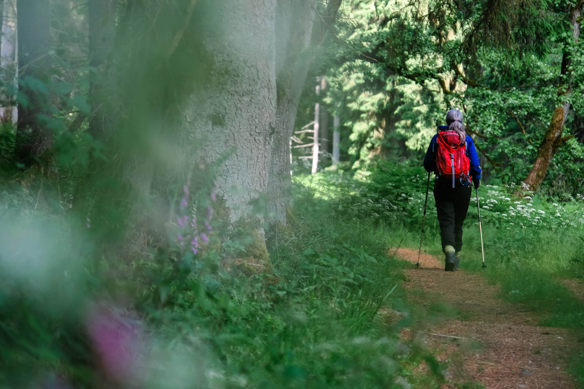 Freundin von Welt auf dem Goldsteig von hinten