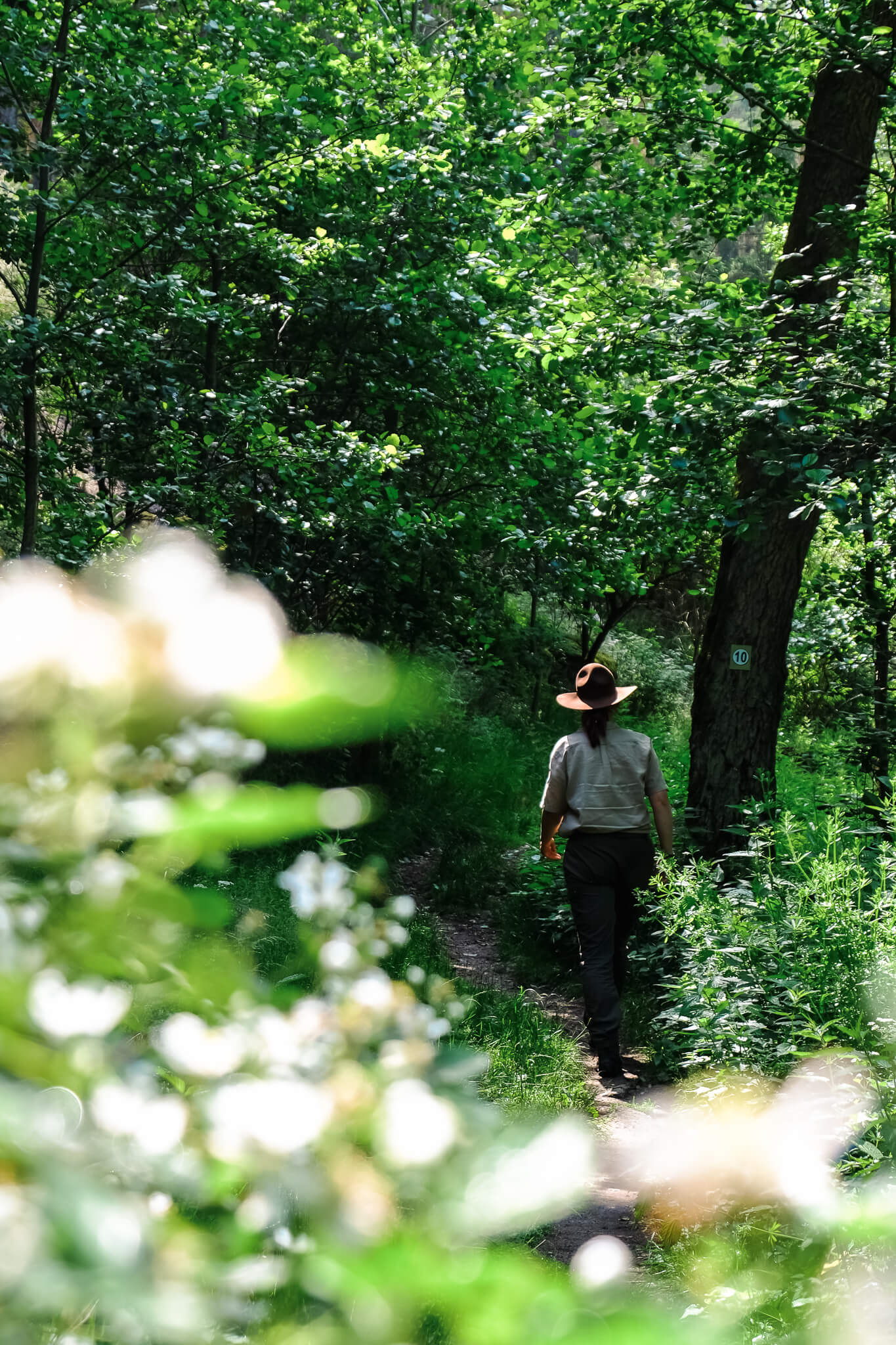 Oberpfälzer Waldzauber: Warum das Waldnaabtal entschleunigt