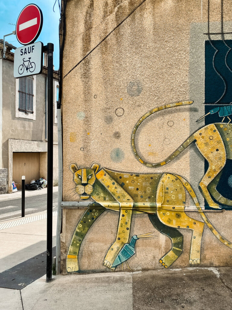 Tiger Streetart Nîmes Gambetta