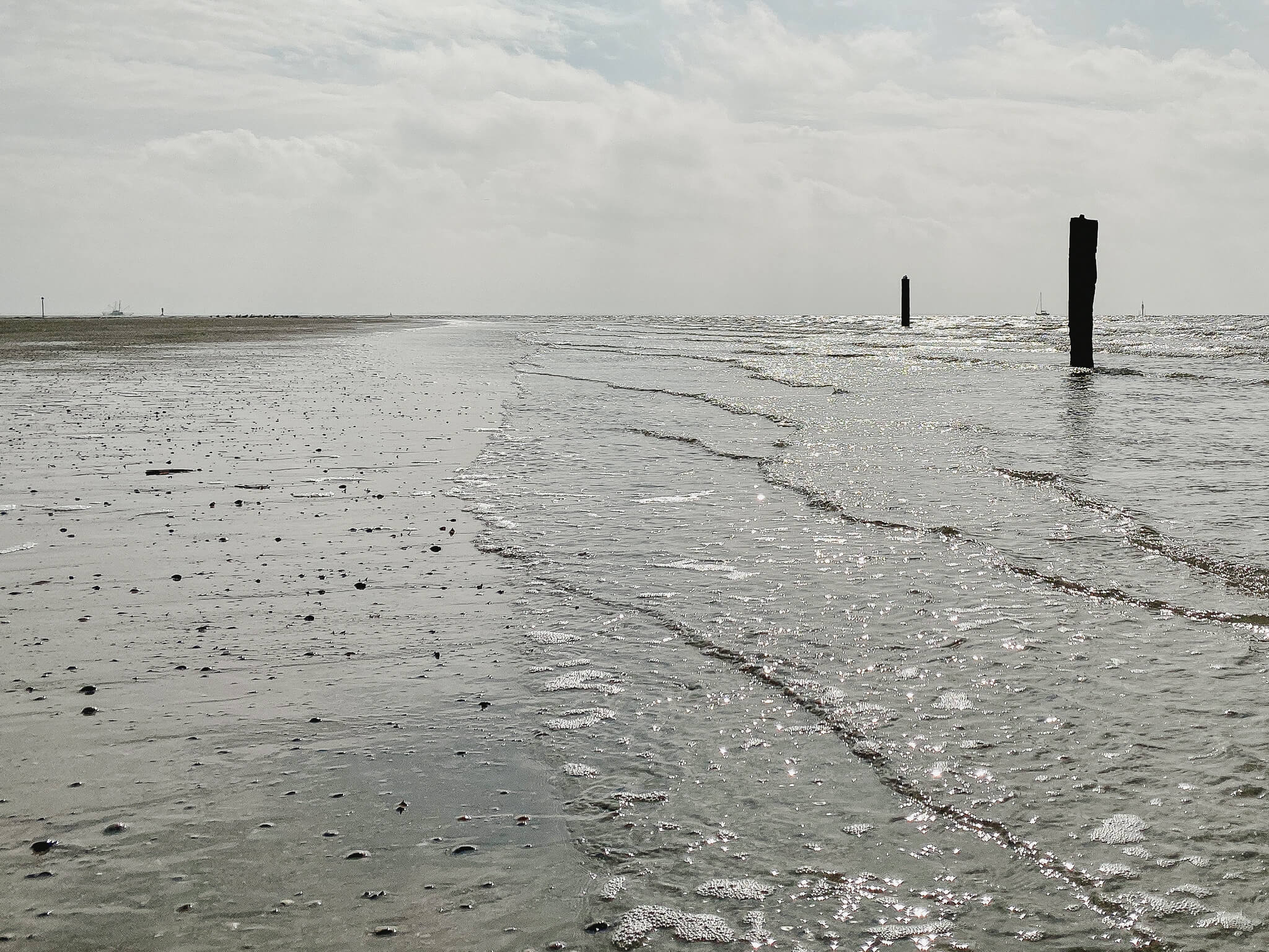 Norderney. am Spülsaum der Nordsee