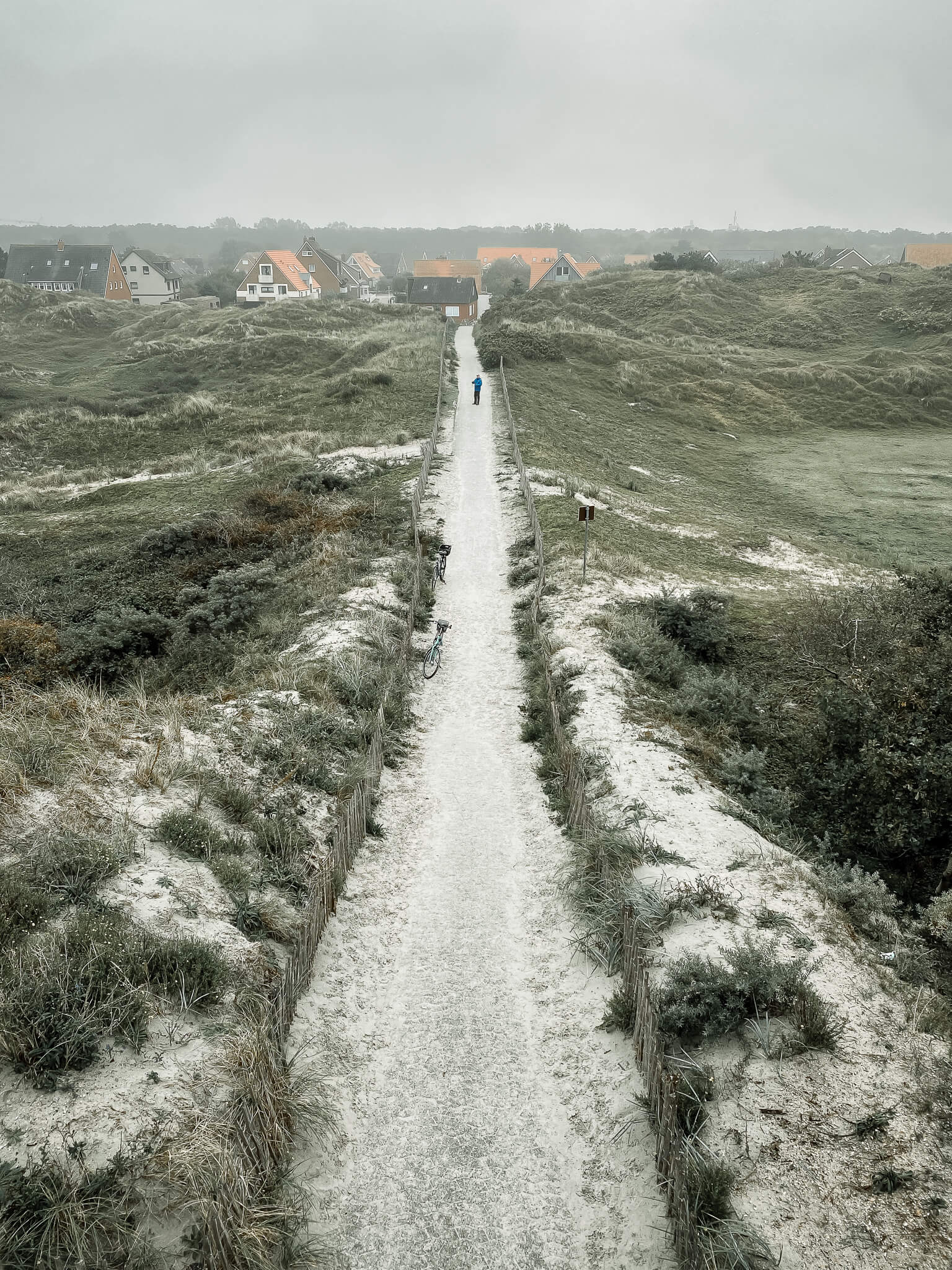 Blick vom Aussichtsturm auf Norderney auf einen Weg